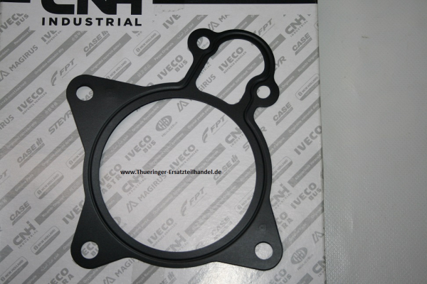 04008160196, Dichtung für Wasserpumpe