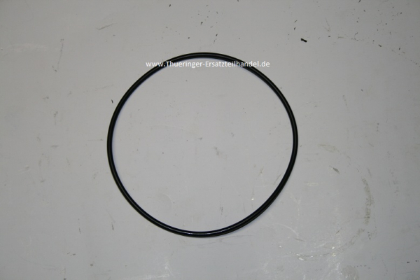 Dichtring 05008160050