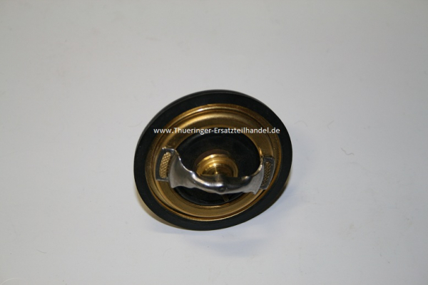 Thermostat 4011551