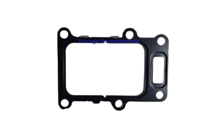 Dichtung AGR-Ventil | 00008160015D