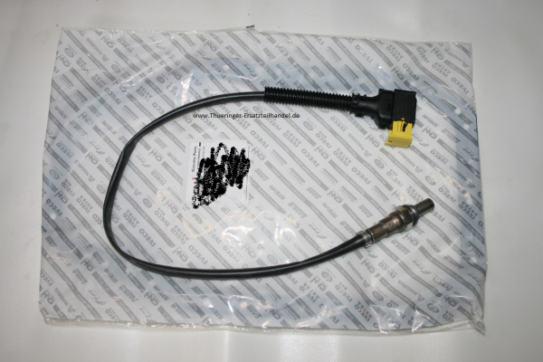 NH3-Sensor | 06001620017E