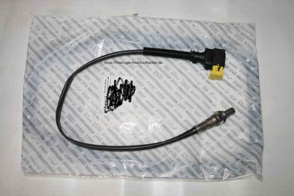 NH3-Sensor 06001620017E