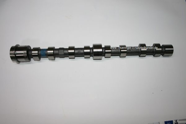 Nockenwelle Auslass 05008160066