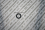 Spezialring, Dichtring, 04008160104